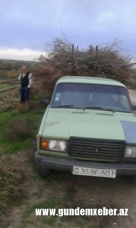 Tuqay meşələri “qan ağlayır”-ŞOK OLAY (FOTOLAR)