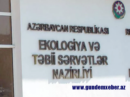 Tuqay meşələri “qan ağlayır”-ŞOK OLAY (FOTOLAR)