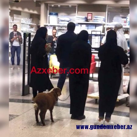 Ərəblər "Gənclik Mall"a quzu ilə girdilər, heyvan hər tərəfi batırdı - (FOTO)
