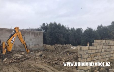 Binəqədi İcra başçısı ilə prokuror əlbəyaxa oldu: Zeytun bağı məhv edilir -FOTO