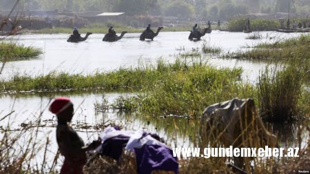 Nigeriyada Boko Haram döyüşçüləri ilə ailələri həbs edilib