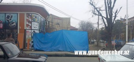 Xocalı parkını satan Lənkəranın icra başçısının şok əməlləri - FOTO