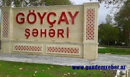 Nazirliyin işçiləri qadın sahibkarı müflis edib