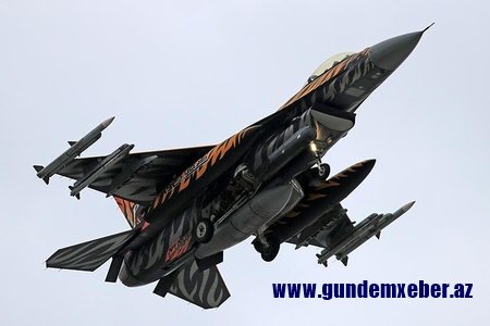 "Zeytun budağı" əməliyyatında 811 terrorçu zərərsizləşdirilib