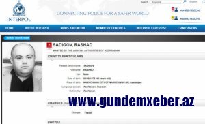 İnterpol Rəşad Sadıqovu axtarır