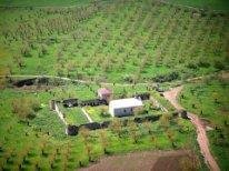 QARABAĞ  sindromu...