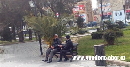 Köhnə Bakı : “nərdtaxtalar parkı”ndan – Reportaj (FOTOLAR)
