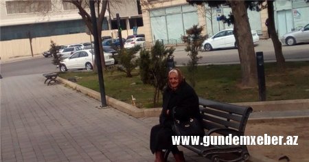 Köhnə Bakı : “nərdtaxtalar parkı”ndan – Reportaj (FOTOLAR)
