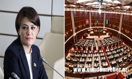 Xanım deputat anasını dəlixanaya saldırırsa, bu necə Milli Məclisdir? - Qalmaqal