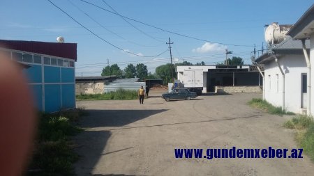 Söhrab Abbasovun rayonlarda himayə etdiyi mebel və yeşik sexində doğranan qiymətli ağaclar FOTOFAKT