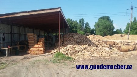 Söhrab Abbasovun rayonlarda himayə etdiyi mebel və yeşik sexində doğranan qiymətli ağaclar FOTOFAKT