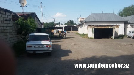 Söhrab Abbasovun rayonlarda himayə etdiyi mebel və yeşik sexində doğranan qiymətli ağaclar FOTOFAKT