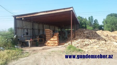Söhrab Abbasovun rayonlarda himayə etdiyi mebel və yeşik sexində doğranan qiymətli ağaclar FOTOFAKT