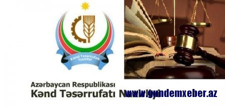 Nazirliyin gücü məhkəmə qərarlarından üstündür? - Kənd Təsərrüfatı Nazirliyi 80 yaşlı sakini süründürməçiliyə salıb