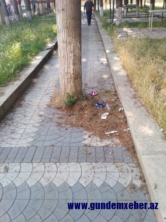Ənvər Seyidəliyev mədəniyyət və istirahət parkını bərbad vəziyyətə saldırıb- İYRƏNC MƏNZƏRƏ və FOTOLAR