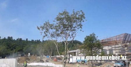 Lənkəranda “İstisu”nun tikintisində müəmmalar – Araşdırma