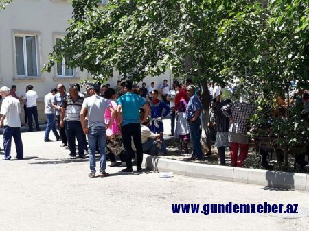 İcra başçısı xalqı tarlalarda zəhərləyir və pambıqla baş kəsir... - FOTO/VİDEO