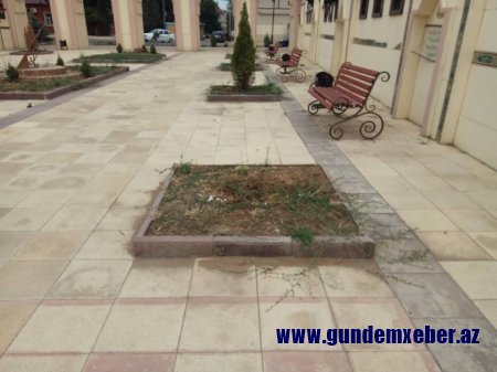 "Nizami" heykəlinin barmaqlarını sındırdılar - Parkda vandalizm (FOTOLAR)