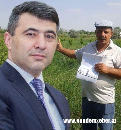Nazirliyin kadrları Zərdabda torpaqları yağmalayıb – Faktlar/VİDEO