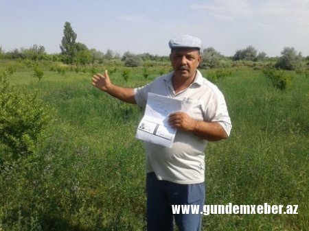 Nazirliyin şöbə müdiri Zərdabda onlarla ailənin torpağını ələ keçirib – PREZİDENTƏ VƏ İNAM KƏRİMOVA MÜRACİƏT