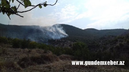 Gürcüstan-Ermənistan sərhədində yanğın davam edir