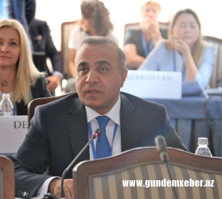 “Paşinyanın əsassız cəhdlər danışıqlar prosesini dayandırmaq məqsədi daşıyır” - ATƏT PA-nın vitse-prezidenti