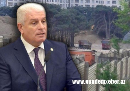 XƏTAI ŞEFI PREZIDENTƏ QARŞI “QIRMIZI XƏTTI” KEÇDI: AĞACLARI YANDIRIB YERI SATDI