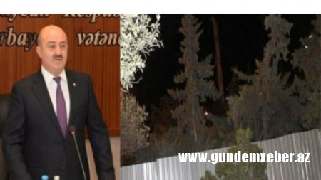 Leyla Əliyevaya qarşı: oğlu adam öldürən Nəsimi şefi yaşıllıqları qətlə yetirir – FOTO