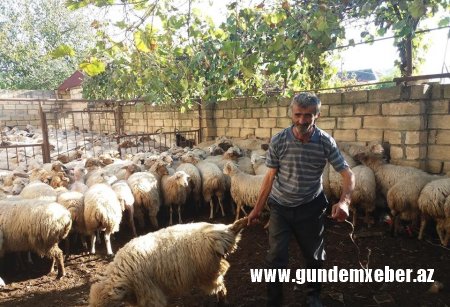 Prezidentin fermer təsərrüfatının inkişafına aid sərəncamlarına qarşı Qax Rayon İcra Başçısının atdığı addımlar təsərrüfatçıların etirazına səbəb oldu. - VİDEO və FOTOLAR Prezidentin fermer təsərrüfatının inkişafına aid sərəncamlarına qarşı Qax Rayon İcra Başçısının atdığı addımlar təsərrüfatçıların etirazına səbəb oldu. - VİDEO və FOTOLAR