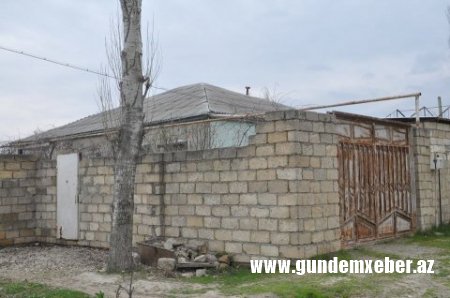 Şabranda keçirilən dövlət satınalmalarının “pərdəarxası” - FOTOLAR