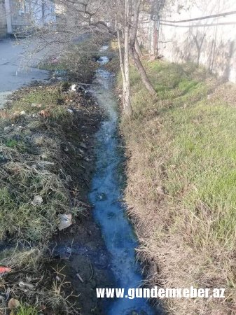 Əvəz Nəbiyevin “qoçuları” Ucarda “at oynadır”- QORXMAZ HÜSEYNOV HARA BAXIR? (FOTOLAR)