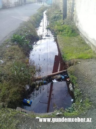 Əvəz Nəbiyevin “qoçuları” Ucarda “at oynadır”- QORXMAZ HÜSEYNOV HARA BAXIR? (FOTOLAR)