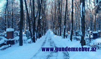 ​Ana oğlunun qəbri üstündə – Donaraq öldü