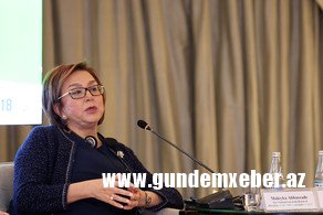 Məleykə Abbaszadə: "Magistraturaya qəbul imtahanı bu il də iki mərhələdə keçiriləcək"