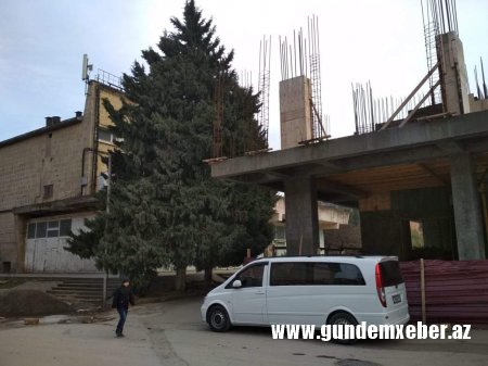 Asif Əsgərov Nəsimini “poliqona çevirib” - FOTOLAR  