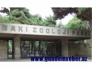 Bakı Zooparkı fəaliyyətini dayandırır