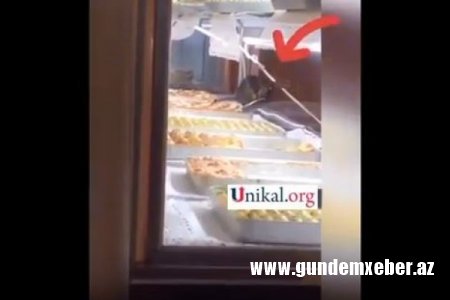 "Gəncə Cake House"da İYRƏNCLİK: Vitrində siçovullar gəzir - VİDEO