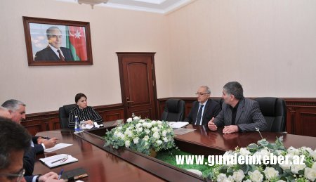 Xanım icra başçı vətəndaşların fərdi qəbulunu keçirdi