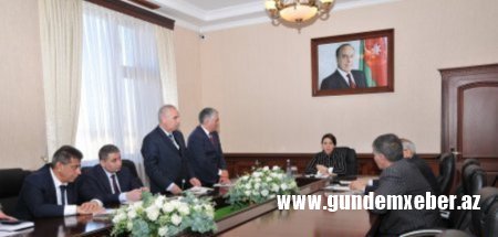Xanım icra başçı vətəndaşların fərdi qəbulunu keçirdi