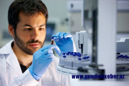 Gürcüstanda 22 nəfərin “donuz qripi”ndən ölməsi təsdiqlənib