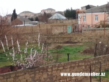 Seyid Ağanın nəvəsi ondan miras qalan əmlak üzərində haqqın bərpasını istəyir - FOTOLAR