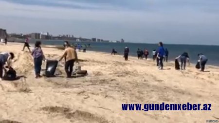 ABŞ səfirliyinin təşəbbüsü ilə Abşeronda çimərliklərin ərazisi təmizlənib