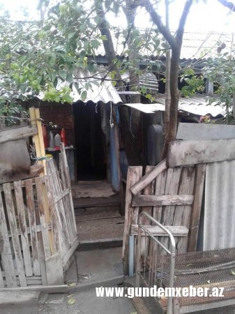 SOS!!!  98 yaşlı qaçqın qadın “tövlə”də yaşayır!-FOTO/VİDEO
