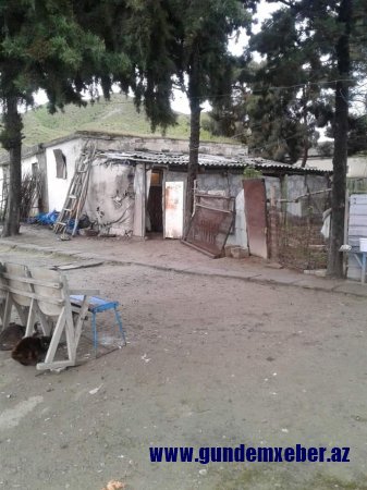 SOS!!!  98 yaşlı qaçqın qadın “tövlə”də yaşayır!-FOTO/VİDEO