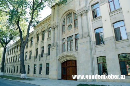 Şəkidə qoca çinarın aşması nəticəsində 19 nəfər yaralanıb - RƏSMİ