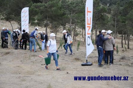 QNET-dən növbəti xeyriyyə aksiyası: Ərazi yaşıllığa büründü... - Fotolar