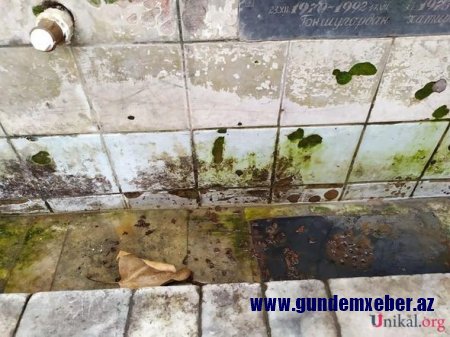 Mingəçevir İcra Hakimiyyətindən şəhidlərə hörmətsizlik - FOTO 