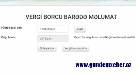 Deputatlığa namizəd YAP üzvünün 24 min manat vergi borcu üzə çıxdı - FOTOFAKT 