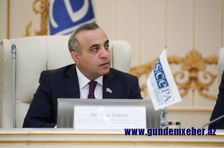 ATƏT PA-nın vitse-prezidenti “Nezavisimaya Qazeta”nı müdafiə etdi