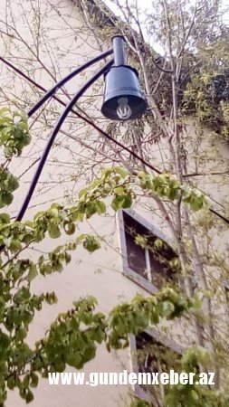 Lənkəranda inanılmaz “BÜDCƏ QƏNAƏTİ”: - Dirəklərdə lampa əvəzinə vedrə asıblar